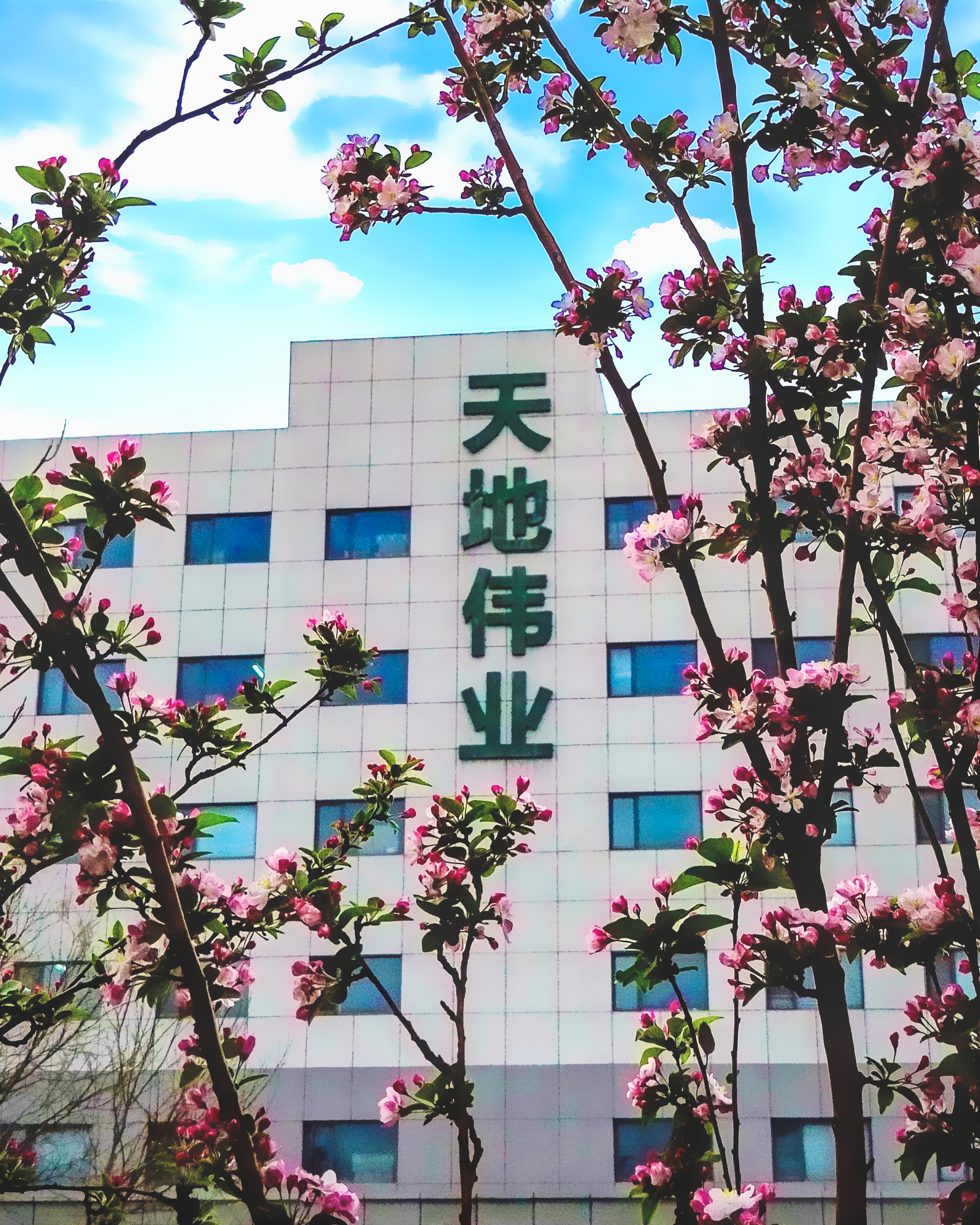 万利国际(中国区) - 官方网站