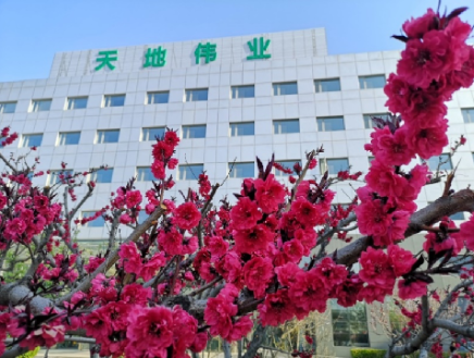 万利国际(中国区) - 官方网站
